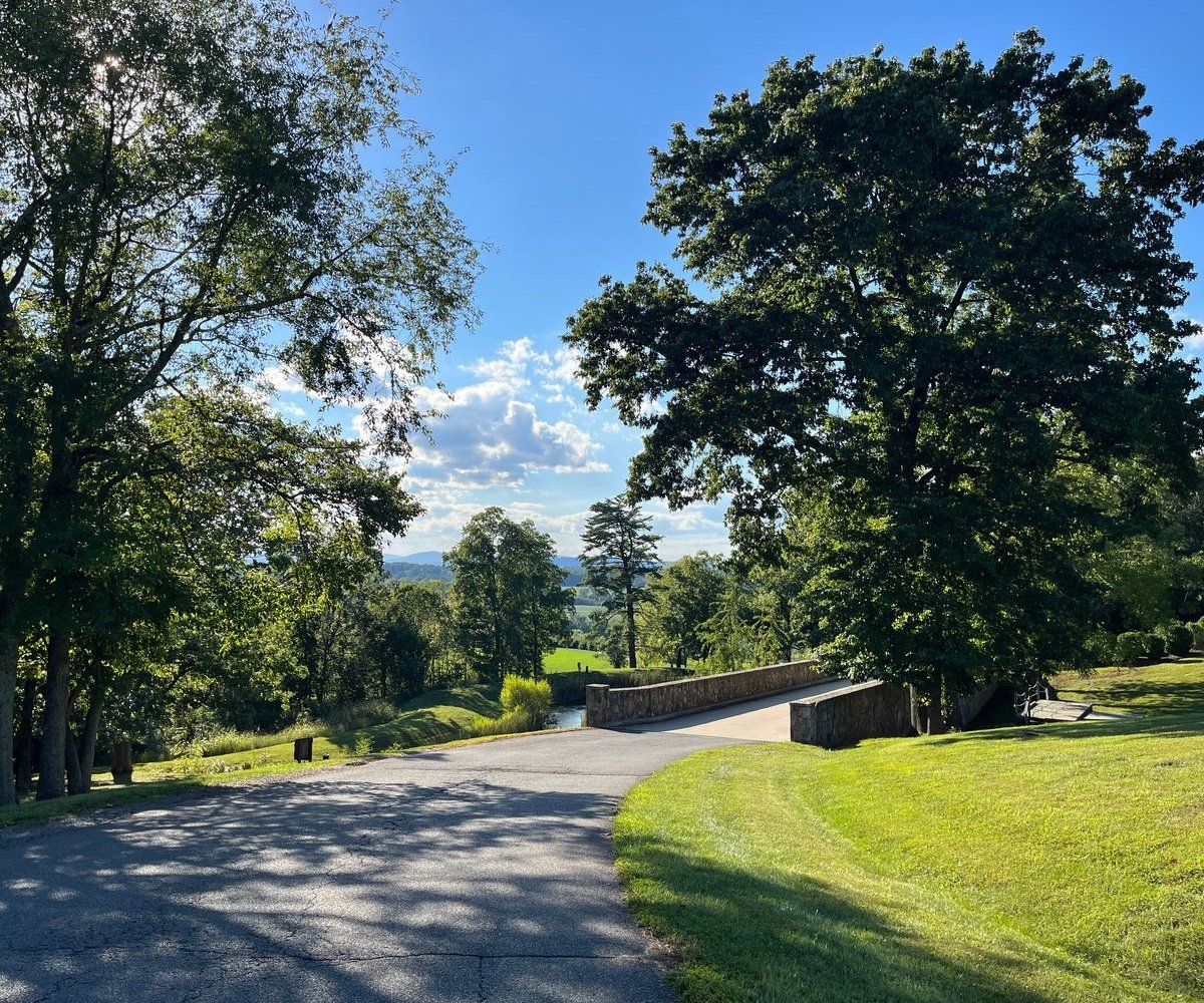 scenic bridge and pathway on campus grounds